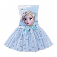 set belleza y accesorios frozen