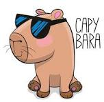CAPYBARA